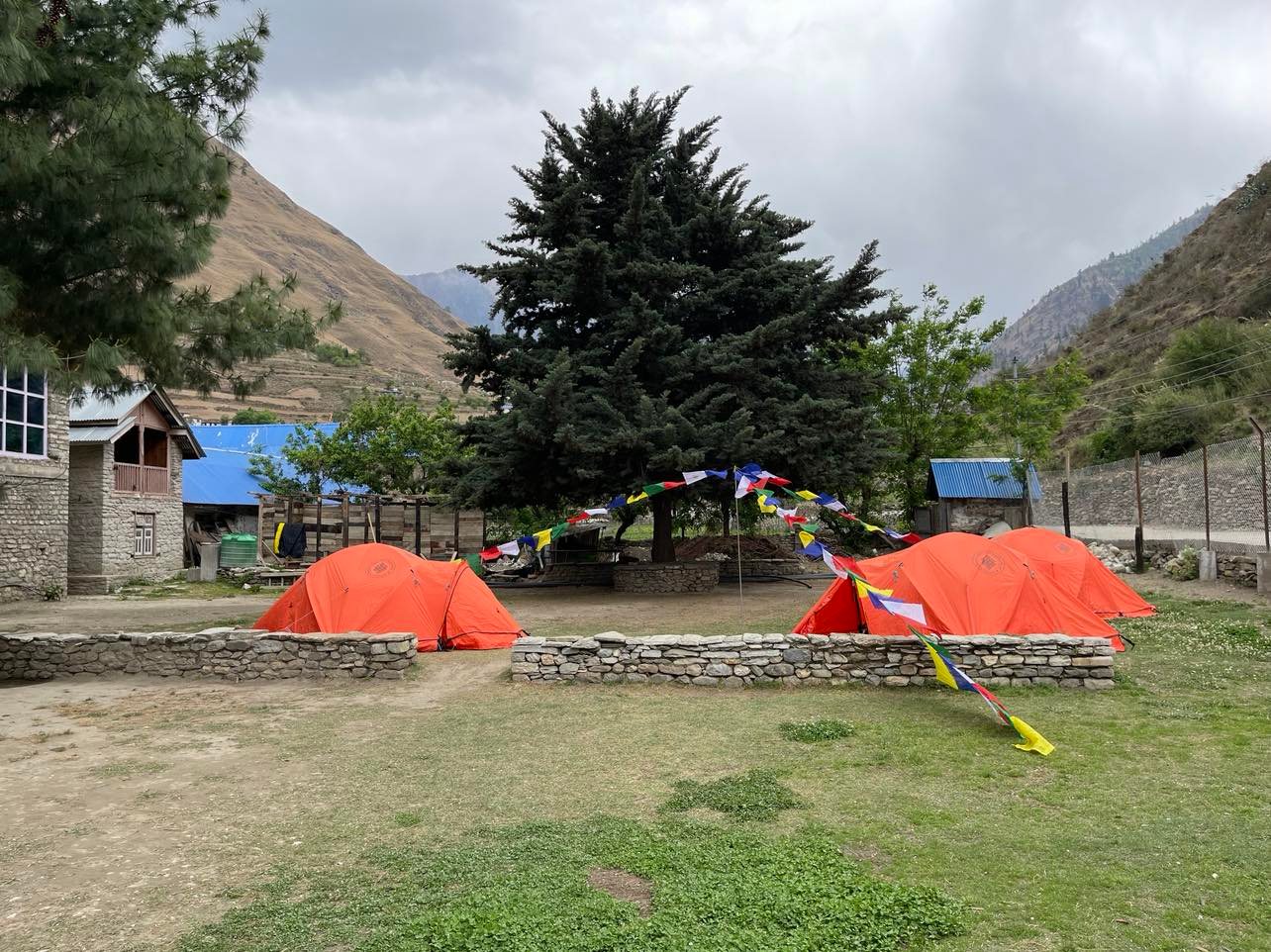 1761828469644 bjv48txqpwm